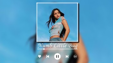 Thumbnail of Numb Little Bug ♫ Spotify chill playlist 🍃  Viral songs 2022 ~ English songs chill music mix