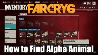 How to Find Alpha Animal In Far Cry 6 Alpha Jaguar Far Cry 6
