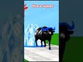 paint &amp; animals cow cartoon,bull,buffalo,yak,ox, indian bison fountain crossing animal transform