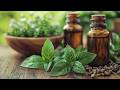8 Powerful Plants That Protect Your Home from Diseases Naturally | Must-Have in 2025!