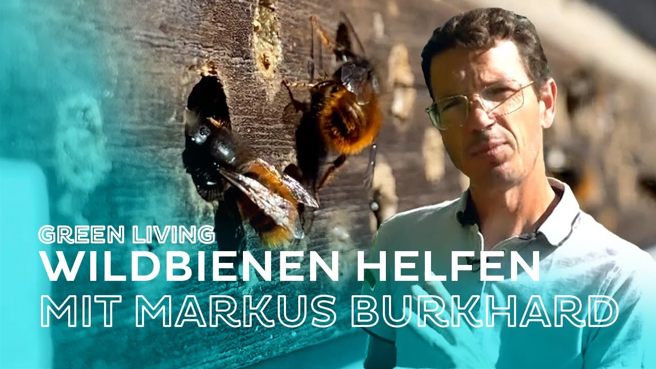 🥀Naturgarten mit Markus Burkhard So unterstützen wir 🐝 Wildbienen