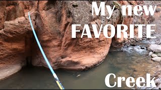 My New FAVORITE Creek (Day 1) | Tenkara Fly Fishing | 4K UHD