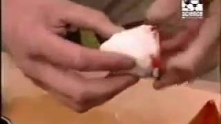 Shaped charges preparation