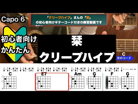 栞/クリープハイプ/ギター/コード/弾き語り/初心者向け/簡単