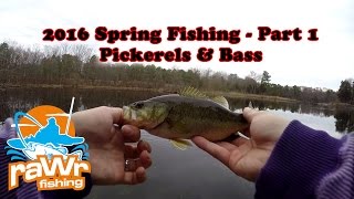 NJ Spring Fishing Part 1 - Pickerels Galore & 1 Bass