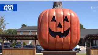 Safety measures to be implemented for pedestrian safety at City of Halloween