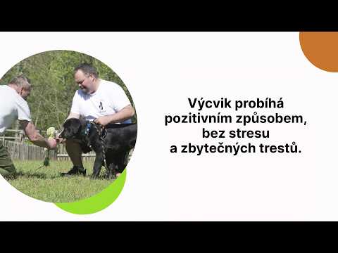 Psí škola Žďár nad Sázavou – Crlík Roman | výcvik psů, poslušnost a socializace