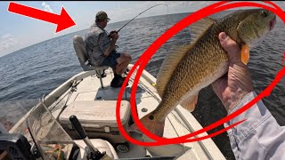This Redfish Bite Was INSANE