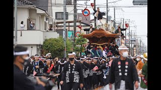 ２年ぶり！岸和田だんじり祭