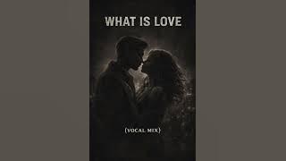 What is love(Vocal Mix)