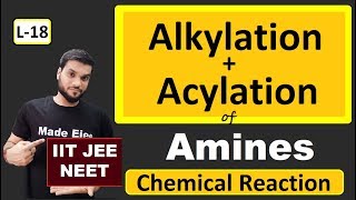 (L-18) Alkylation + Acylation of Amines || Chemical Reactions || JEE NEET || By Arvind Arora