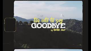 TOO LATE TO SAY GOODBYE - Tonton Alex (Official Music Video)