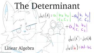 Furry teaches you the Determinant - Linear Algebra