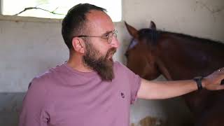 Atçılık Nedir? Atların Duyguları? At Nasıl Hazırlanır?