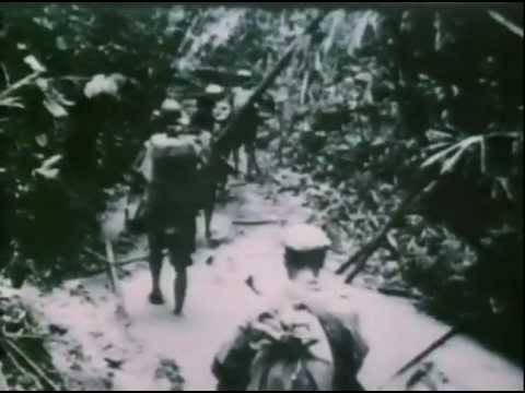 La Guerrilla. 5 - NAM la guerra de los 10.000 días. Guerra de Vietnam.