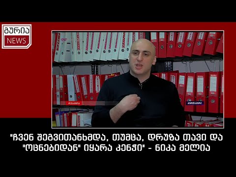 \"ჩვენ შეგვითანხმდა, თუმცა, დრუზა თავი და \"ოცნებიდან\" იყარა კენჭი\" - ნიკა მელია