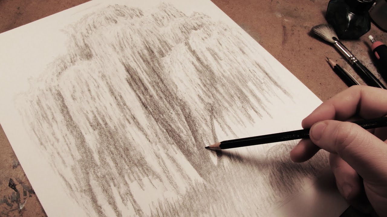 How to Draw a Weeping Willow Tree - YouTube