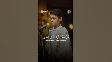 القارئ عمر علي - Omar Ali - آرح قلبك .. واذ قال إبراهيم أرني كيف تحيي الموتى _قران