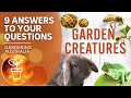 What to do if you dig up a frog, and other FAQs | Your questions, our answers | Gardening Australia