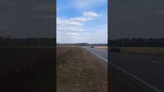 Соняшникове поле в Україні. Кіровоградщина