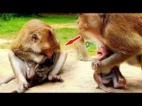 facebook games 2019 Cody cries seizures cos lost mom | Kidnapper hurt Cody in long time with strong blocking