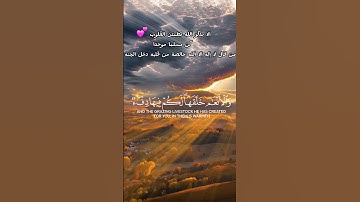 #القران_الكريم #اكسبلور #لايك الشيخ شيخ قران كريم سوره تلاوة سورة تلاوات خاشعة راحه نفسيهsurah surat