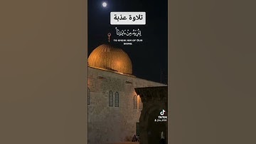 تلاوة عذبة لشيخ القارئ عبدالباسط عبدالصمد . #تلاوات#تلاوة_خاشعة#عبدالباسط_عبدالصمد#اكسبلور#السعودية