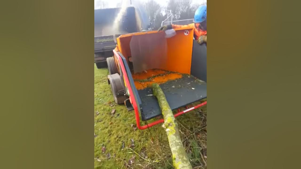 Tree Mulching with Evolution Tree Works YouTube