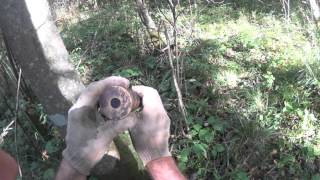 ML1 Раскопки немецкого блиндажа WW2 Dugout excavations HD SUB ML1 Раскопки немецкого блиндажа WW2 Dugout excavations HD SUB