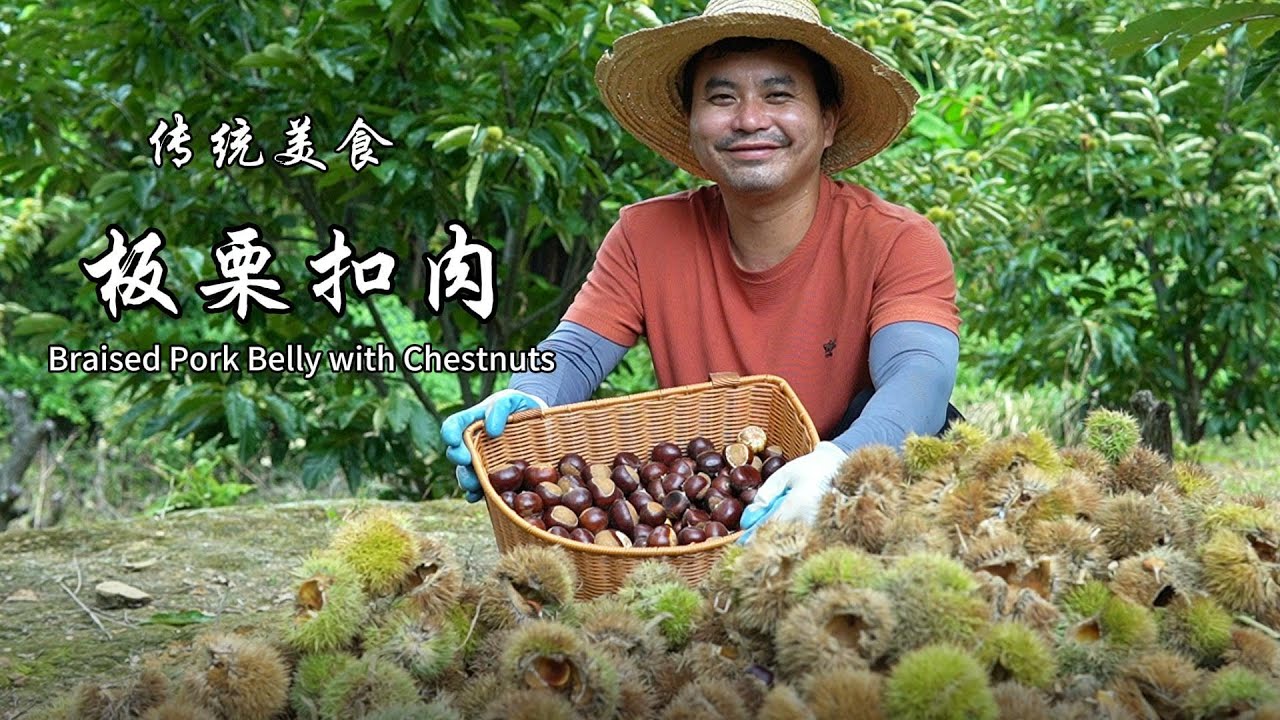 栗子大丰收,采摘一背篓,背到集市去售卖看看能赚多少钱.在制作一顿丰富的中国传统美食板栗扣肉和家人一起吃 #美食 #中国美食#栗子 #传统文化 #扣肉 #大陆美食