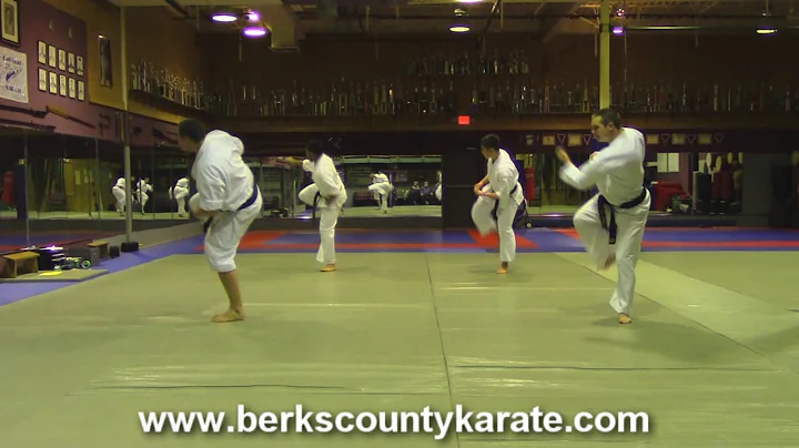 Pinan Shoda kata demonstration by East Coast Karat...