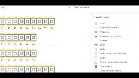 Registrar un Odontograma