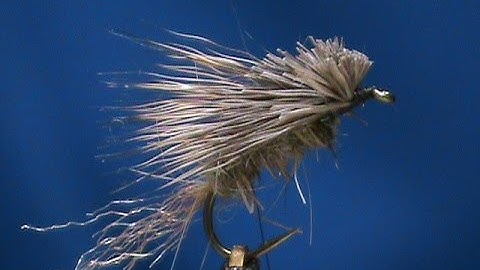 Beginner Fly Tying a Hare
