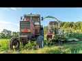 TRINCIATO ALL'ITALIANA 🇮🇹 | Hesston 7650 & Fiatagri 180-90 Pushing Silage