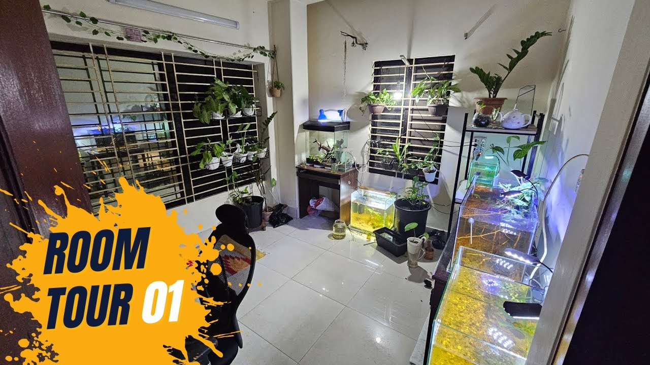 Cozy Nature Room Tour 2025 | Aquarium, Frog Enclosure & Indoor Plant Setup