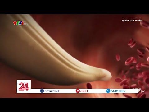 Video: Hydrogen Peroxide cho Chó Nước tiểu