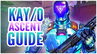 ADVANCED Ascent KAY/O Guide