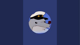 asoftdolphin is live!