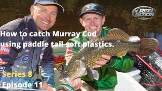 How to catch Murray Cod using paddle tail soft plastics. screenshot 3