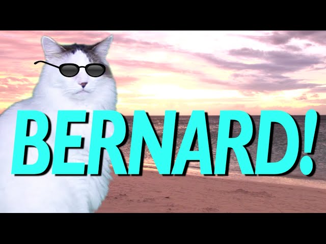 HAPPY BIRTHDAY BERNARD! - EPIC CAT Happy Birthday Song