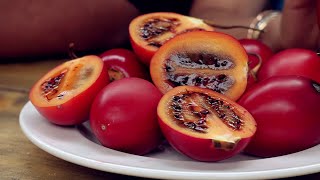 How to make tamarillo juice