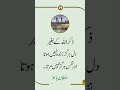 Sultan Baho ka farman #viral #viralvideo #Muslims #shorts