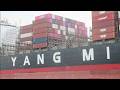[巨輪出港] 陽明海運 團明輪🚢超大型貨櫃輪 | 穿裙裙拍船船