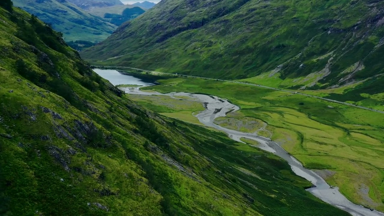 peaceful Nature Short 