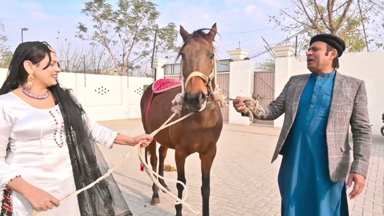 Saddique tabasam new funny show | new funny prank | #artisttv #funny #saddiquetabasam