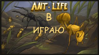 Я играю в игру роблокс на карте Ant Life бета тестирование