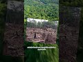 ¿Cuántos Arboles hay en la Tierra? Cada año se pierden millones por la deforestación #arboles