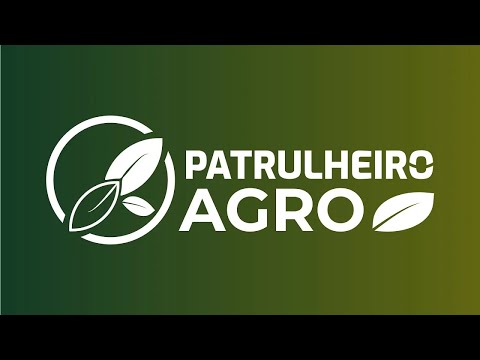 Pressão de lagartas gera custos extras no milho em MT | Patrulheiro Agro ep.85 |  Canal Rural