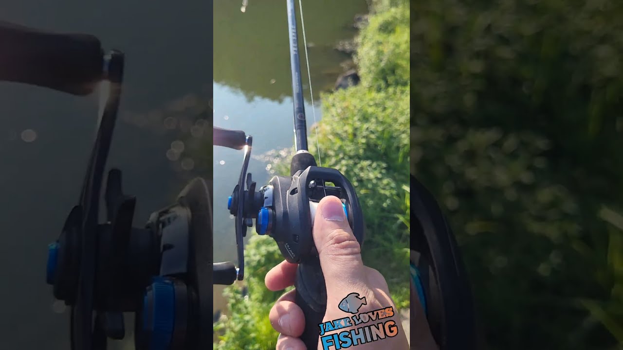 Amazon.com : Shimano Reel 20 SLX DC 71XG Left : Sports