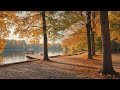 Gentle Autumn Jazz in the Park &ndash; Smooth Jazz for Relax, Study &amp; Cozy Moments